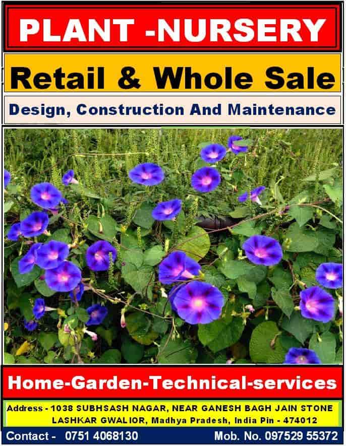 Home Garden Technical Services Whole Plant Nursery Photos Our Catalog Home Garden Technical Services Whole Plant Nursery Photos Gwalior