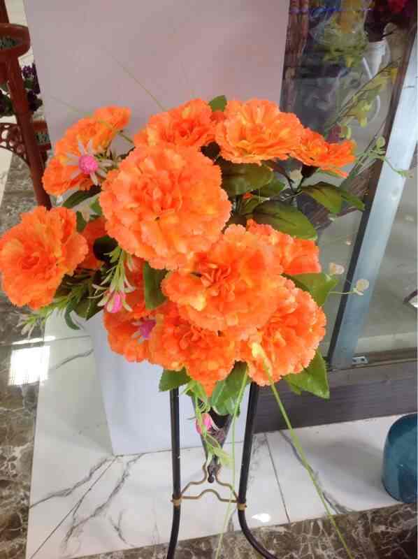 Comp Rose Decor Home Decorating Ideas Rose Decor Photos Sodala Jaipur Pictures Images Gallery Justdial
