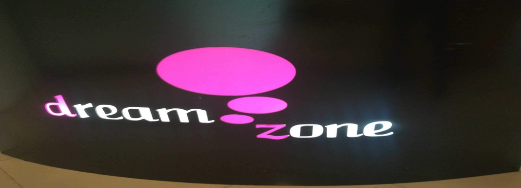 dream zone institute for